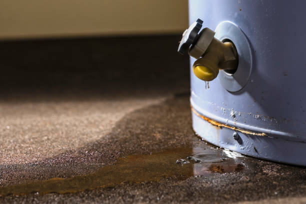 Best Mold removal after water damage  in Oblong, IL