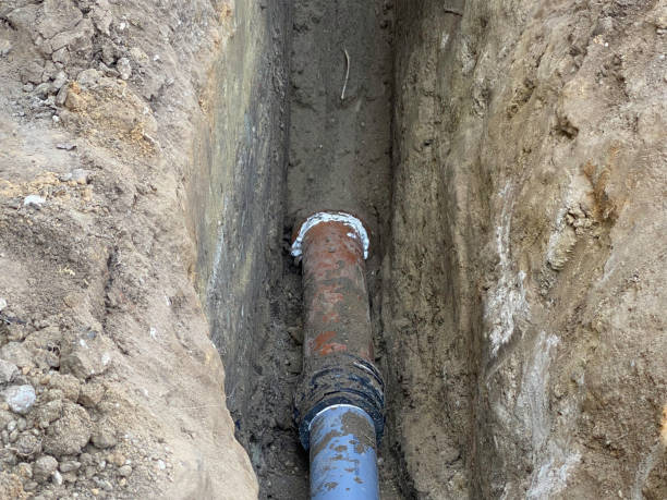 Best Flood restoration services  in Oblong, IL
