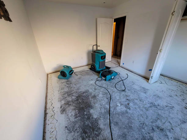 Best Ceiling water damage repair  in Oblong, IL