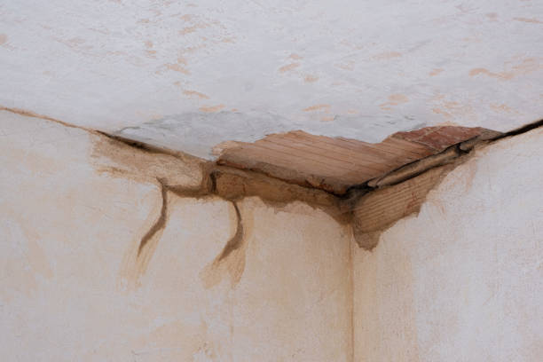 Best Water damage restoration near me  in Oblong, IL