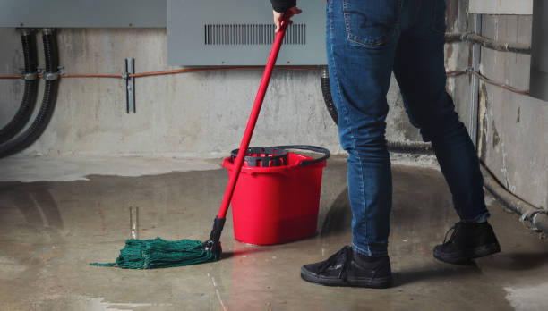Best Professional water damage repair  in Oblong, IL