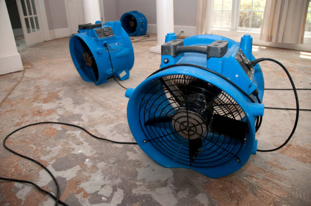 Best Emergency water damage restoration  in Oblong, IL