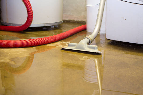 Best Water damage restoration near me  in Oblong, IL