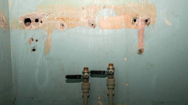  Oblong, IL Water damage restoration Pros