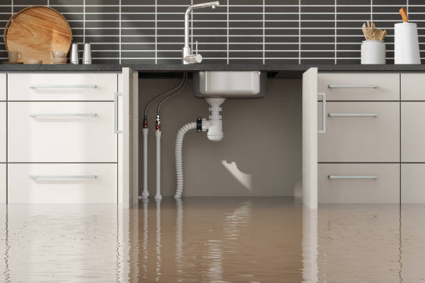 Best Flood damage cleanup  in Oblong, IL