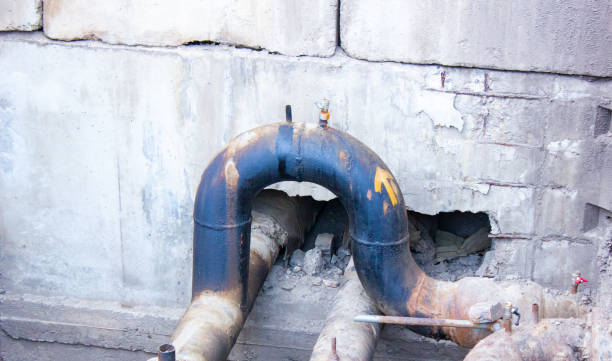 Best Water damage cleanup near me  in Oblong, IL