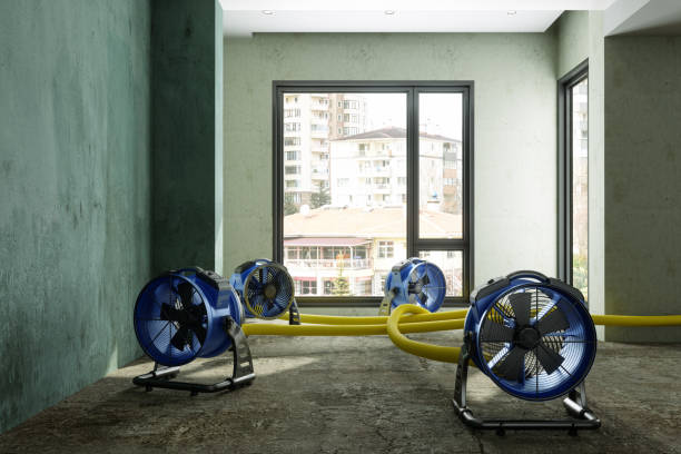 Best Residential water damage restoration  in Oblong, IL